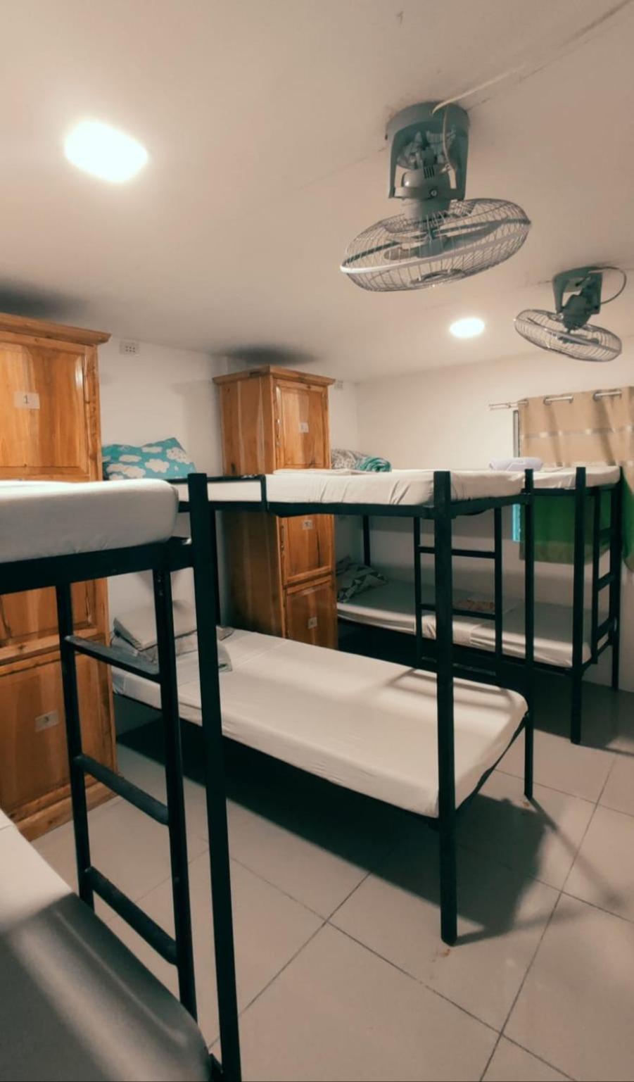 Island Girl Bed And Breakfast Moalboal Zewnętrze zdjęcie